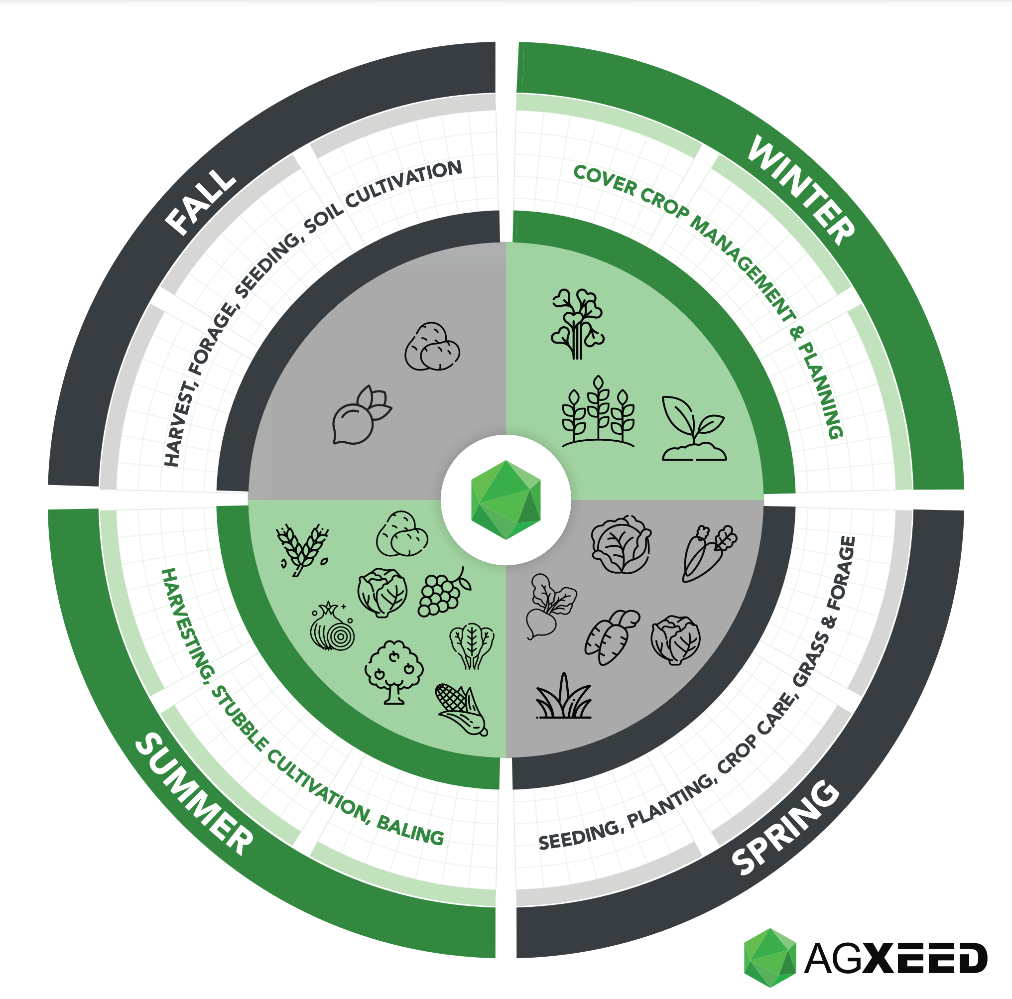 Preview of the contents of infographic calendar